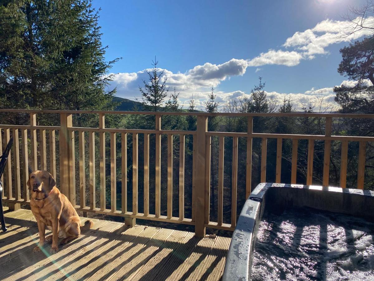 Acorn Lodge With Hot Tub Cupar Exterior foto